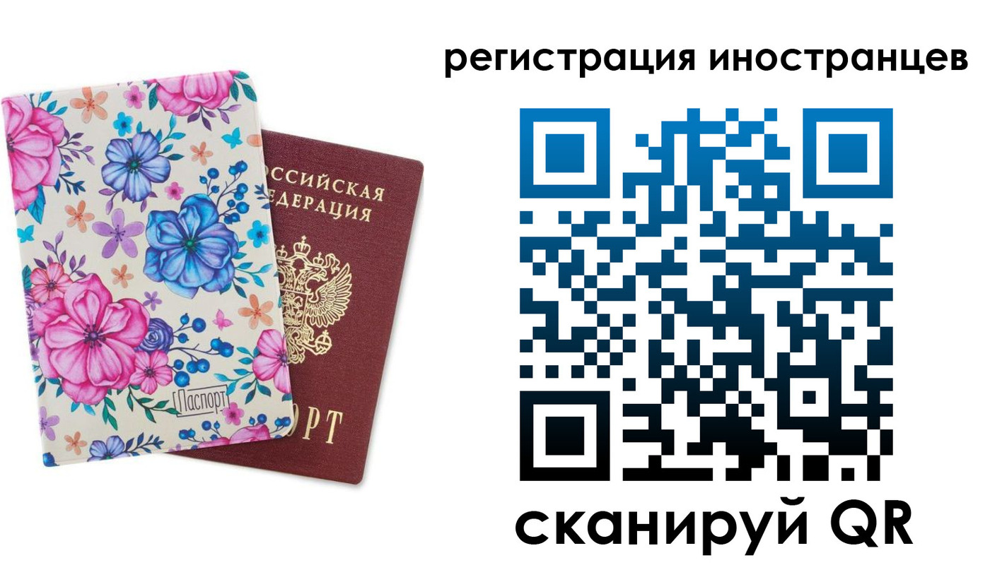 прописка гарантия в Апатитах